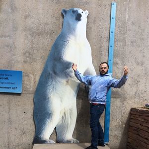 Meet your Posher, Beau